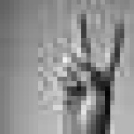 image of sign_language