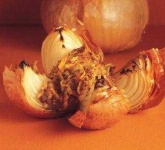 image of onion