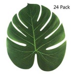 image of leaf