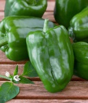 image of fruit_and_vegetable