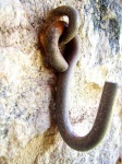 image of hook