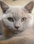 image of animal