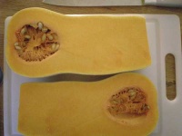 image of butternut_squash #25