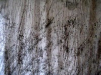 image of texture