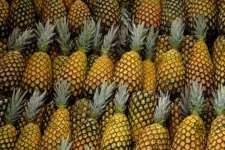 image of pineapple #34