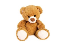 image of teddy_bear