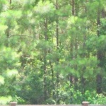 image of material