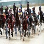 image of harness_racing #33