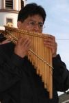 image of panpipe