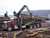 image of lumbermill