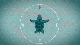 image of compass