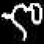 image of amharic