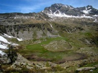 image of alp