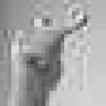 image of sign_language
