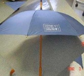 image of umbrella