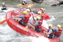 image of paddle