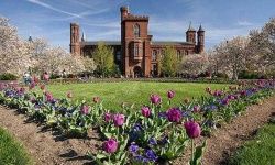 image of garden