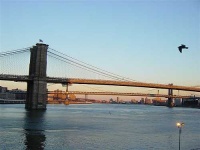 image of pier
