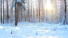 image of snowy