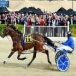 image of harness_racing #14