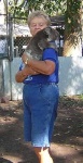 image of koala
