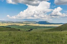 image of grassland