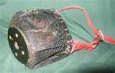 image of muzzle