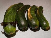 image of zucchini