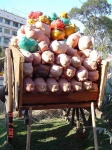 image of piggy_bank