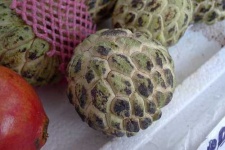 image of custard_apple #19