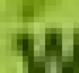 image of char