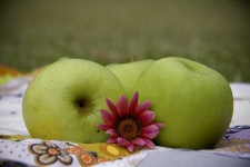 image of granny_smith