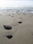 image of seashore