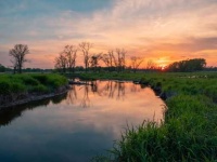 image of wetland