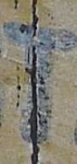 image of char