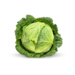 image of cabbage #1