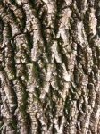 image of texture