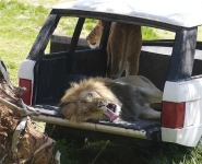 image of jeep_car