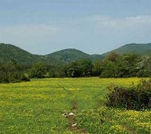 image of valley