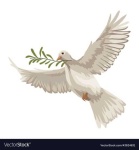image of dove