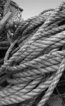 image of texture