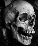 image of skull