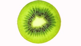 image of kiwi #5