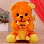 image of teddy_bear