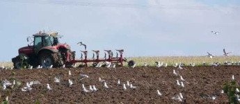 image of plow