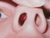 image of human_body_parts