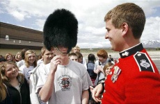 image of bearskin