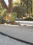 image of wood_rabbit