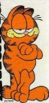 image of garfield