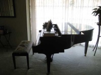 image of grand_piano #31